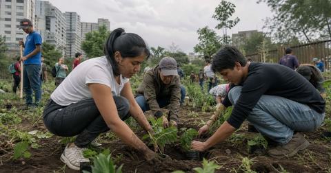Participación ciudadana Azcapotzalco: un modelo replicable en México