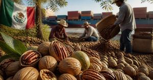 Impacto de los aranceles a la nuez pecanera de China en México